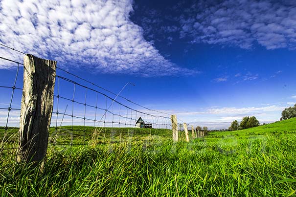 IMG_2057-2 field grass blue sky shed fence