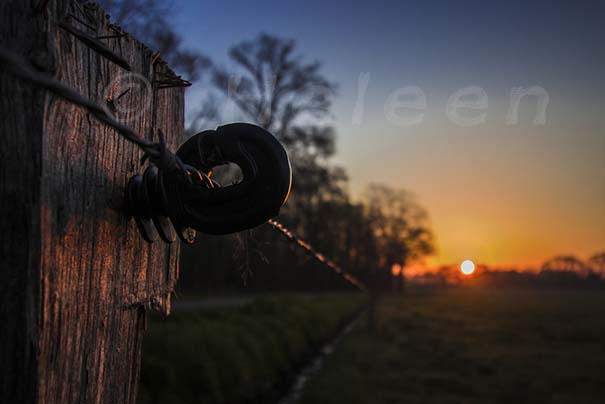 IMG_3111 sunrise field barb wire post